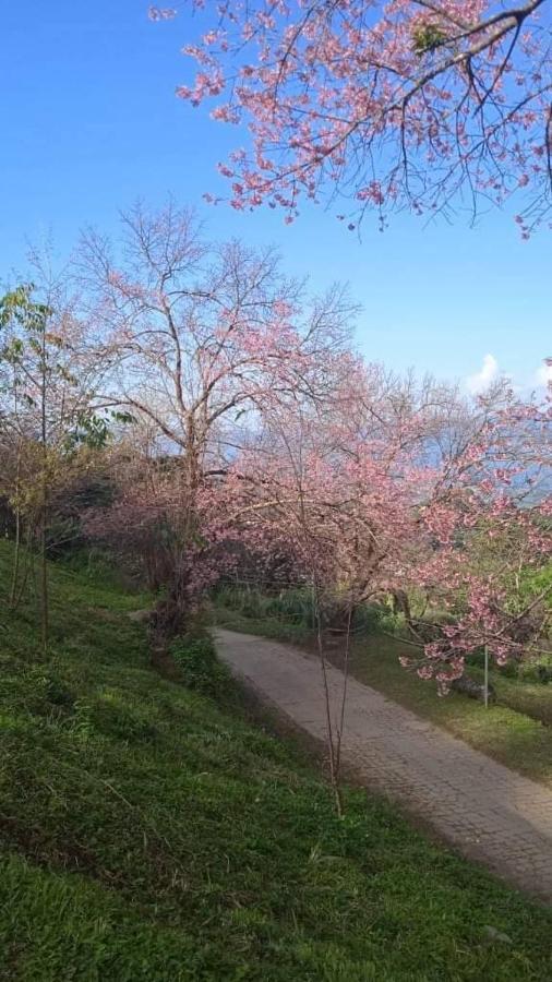 Ban Chomdoi Resort Phatang Ban Pha Tang Εξωτερικό φωτογραφία